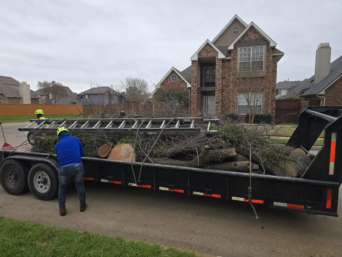 Expert Tree Fertilization with proper safety equipment in Omro